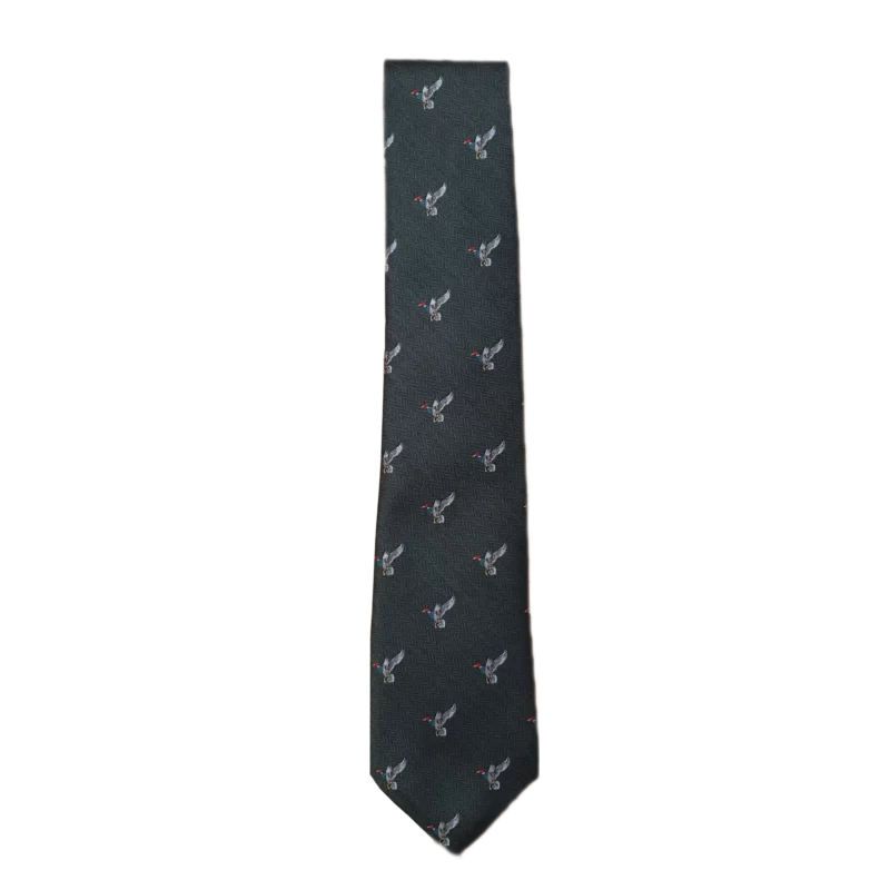 Ian Coley Flying Duck Tie in Green