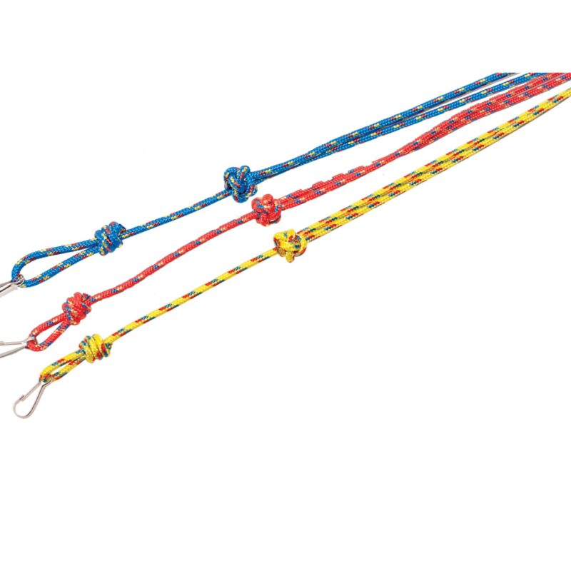 Bisley Multi Lanyard