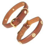 Hicks and Hides Laverton Dog Collar In Cognac
