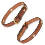 Hicks and Hides Stanway Dog Collar in Cognac