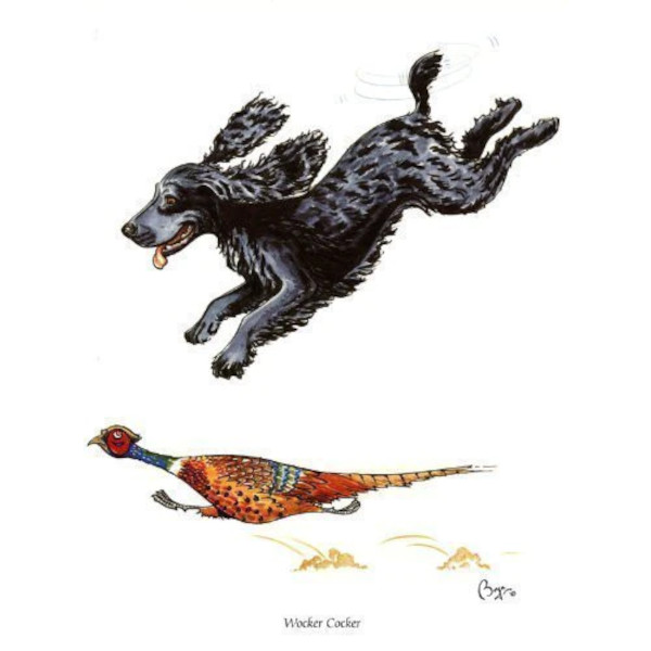 Wocker Cocker