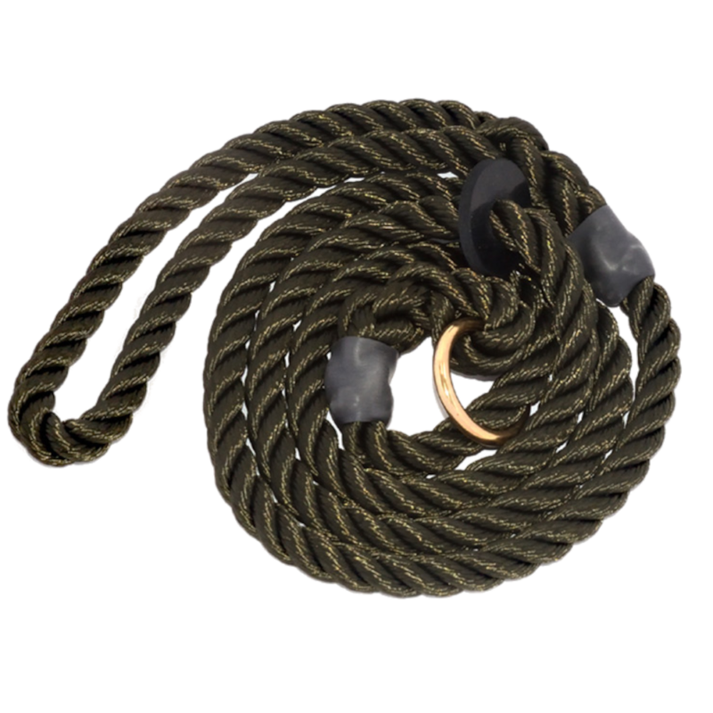 Bisley Elite Slip Lead Green