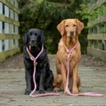 Dusky Pink Dog Slip Leads