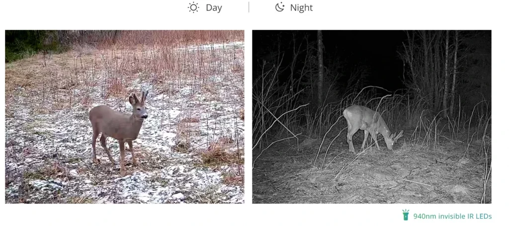 Hikmicro M15 Trail Camera