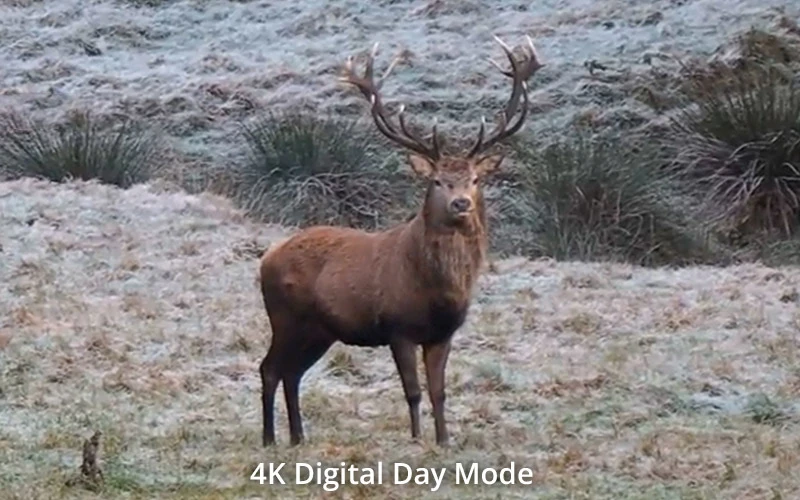 Digital Day Mode