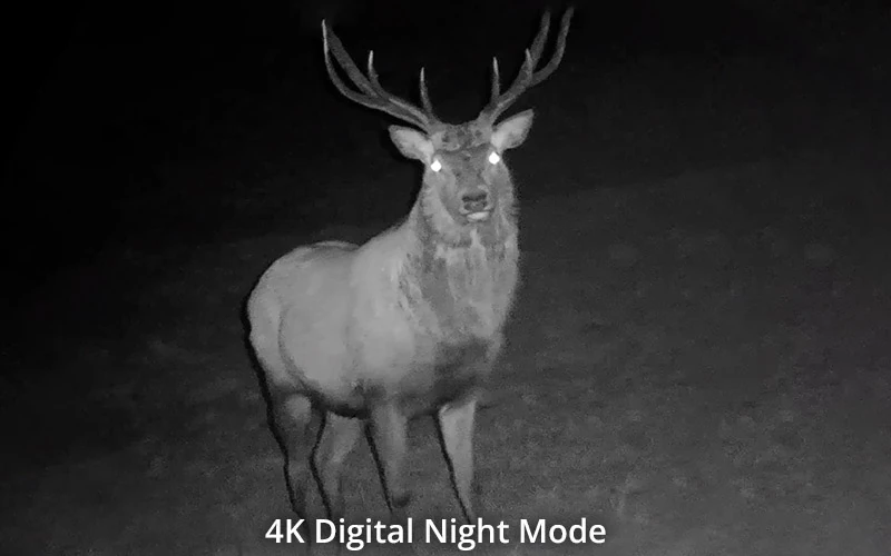 Digital Night Mode