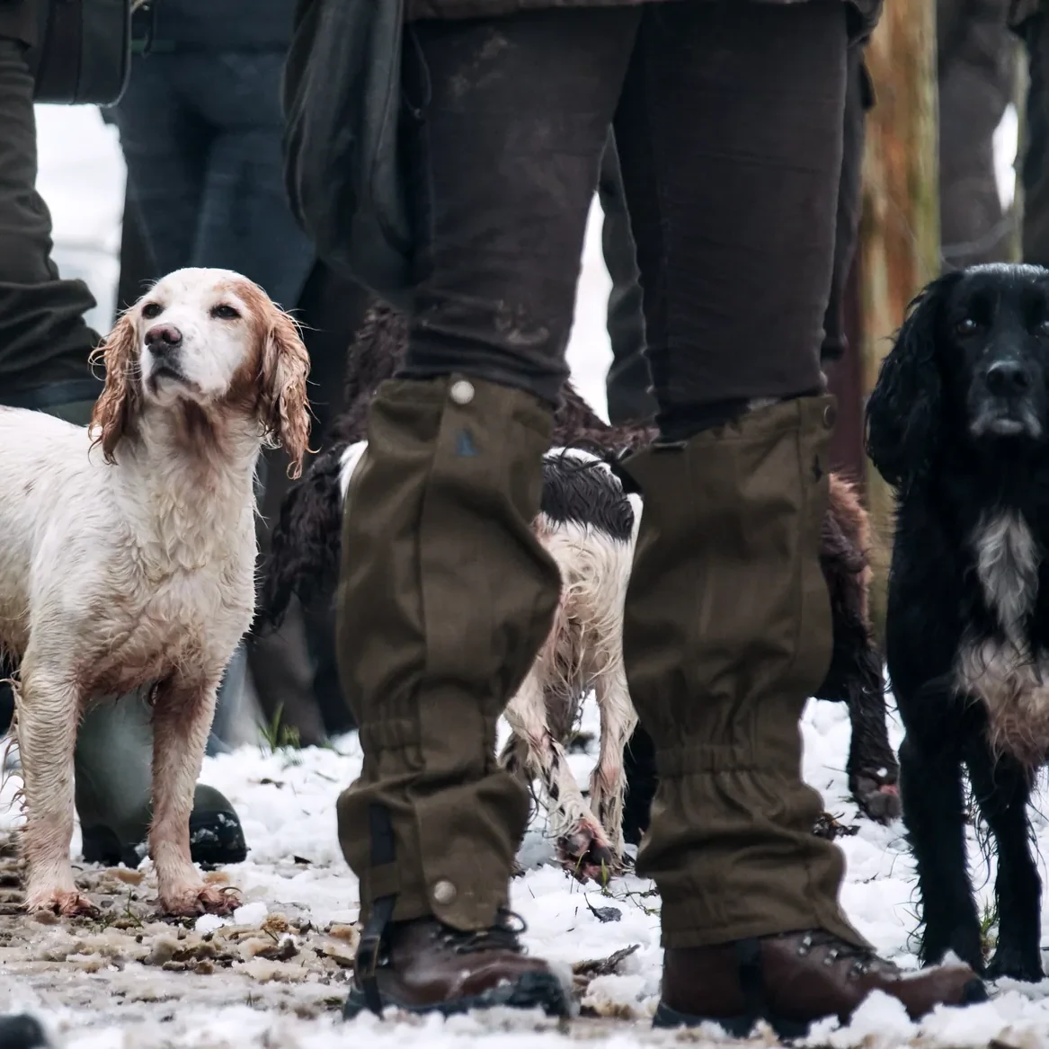 Seeland Buckthorn Gaiters