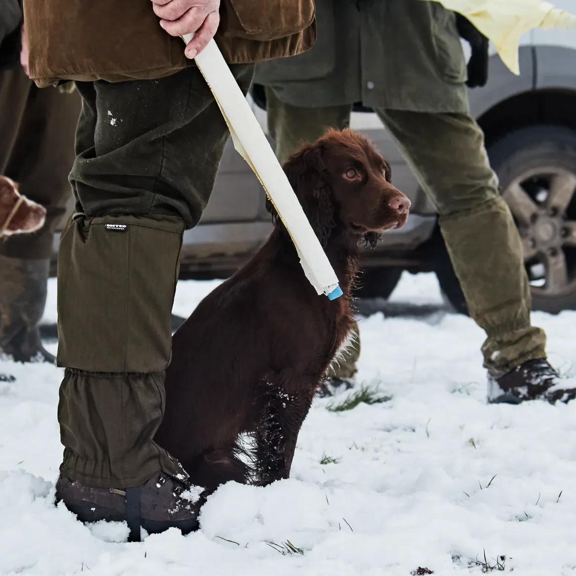 Seeland Buckthorn Gaiters